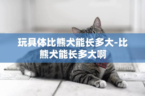 玩具體比熊犬能長多大-比熊犬能長多大啊
