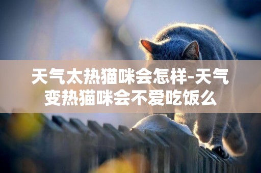 天氣太熱貓咪會怎樣-天氣變熱貓咪會不愛吃飯么