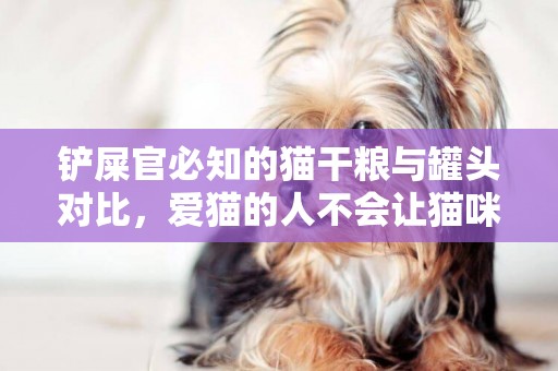 鏟屎官必知的貓干糧與罐頭對比，愛貓的人不會讓貓咪常年吃貓糧 