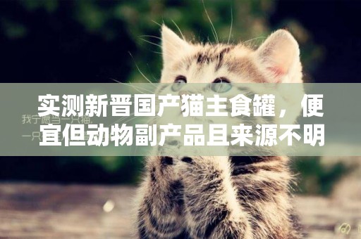實測新晉國產貓主食罐，便宜但動物副產品且來源不明，你考慮嗎？ 