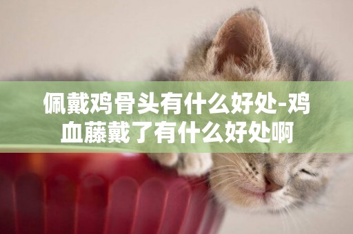 佩戴雞骨頭有什么好處-雞血藤戴了有什么好處啊