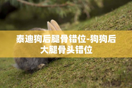 泰迪狗后腿骨錯位-狗狗后大腿骨頭錯位