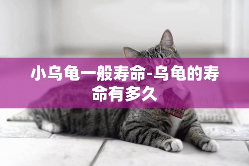 小烏龜一般壽命-烏龜的壽命有多久