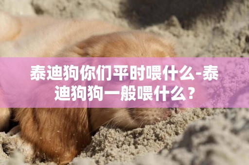 泰迪狗你們平時喂什么-泰迪狗狗一般喂什么？