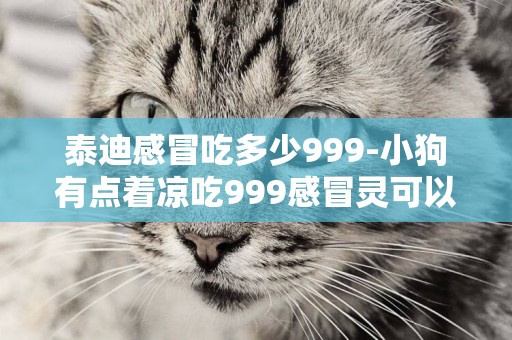 泰迪感冒吃多少999-小狗有點著涼吃999感冒靈可以不