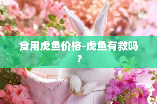 食用虎魚價格-虎魚有救嗎？