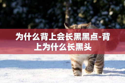 為什么背上會長黑黑點-背上為什么長黑頭