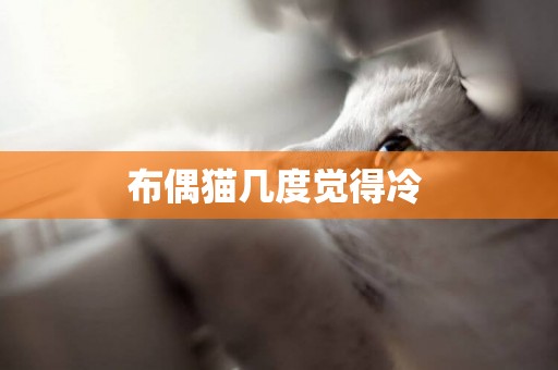 布偶貓幾度覺得冷 