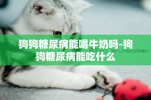 狗狗糖尿病能喝牛奶嗎-狗狗糖尿病能吃什么