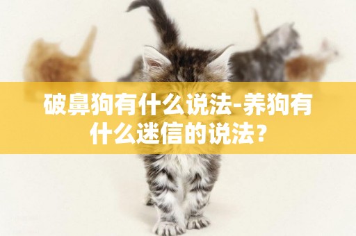 破鼻狗有什么說法-養狗有什么迷信的說法？