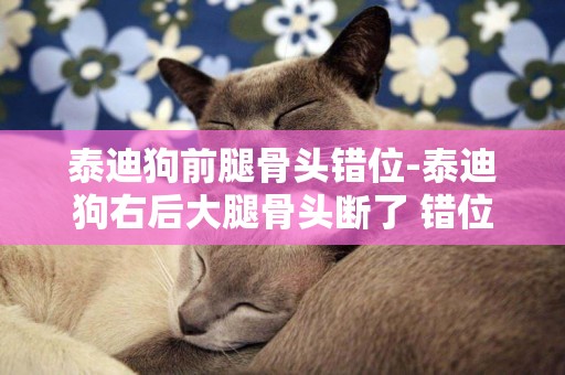 泰迪狗前腿骨頭錯位-泰迪狗右后大腿骨頭斷了 錯位了 有10幾天了 怎么辦