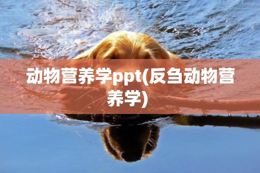 動物營養學ppt(反芻動物營養學) 