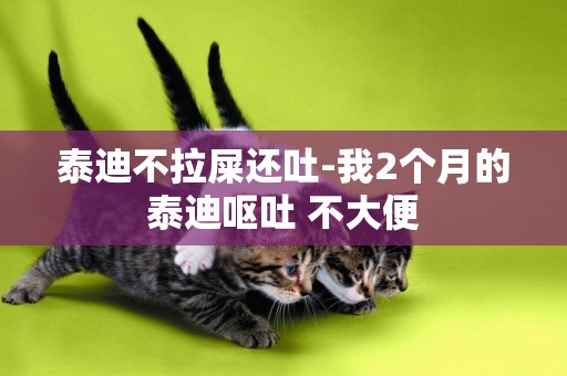 泰迪不拉屎還吐-我2個月的泰迪嘔吐 不大便