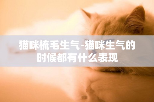 貓咪梳毛生氣-貓咪生氣的時候都有什么表現