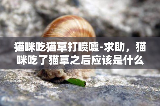 貓咪吃貓草打噴嚏-求助，貓咪吃了貓草之后應該是什么反應