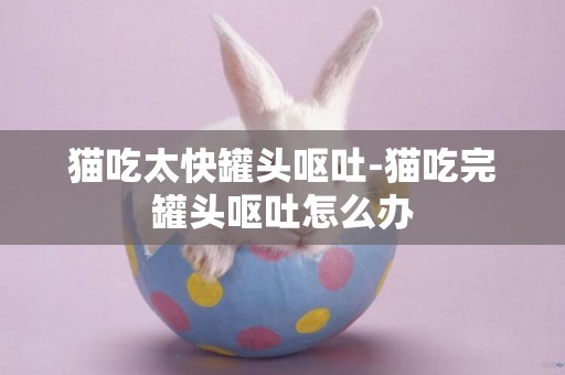貓吃太快罐頭嘔吐-貓吃完罐頭嘔吐怎么辦