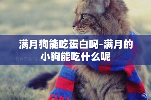 滿月狗能吃蛋白嗎-滿月的小狗能吃什么呢