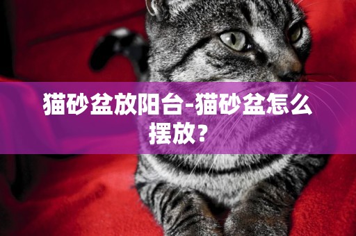 貓砂盆放陽臺-貓砂盆怎么擺放？