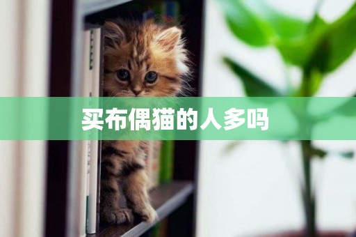 買布偶貓的人多嗎 