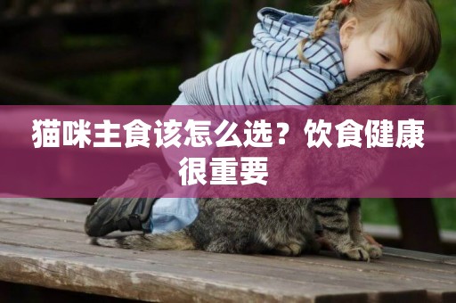 貓咪主食該怎么選？飲食健康很重要 