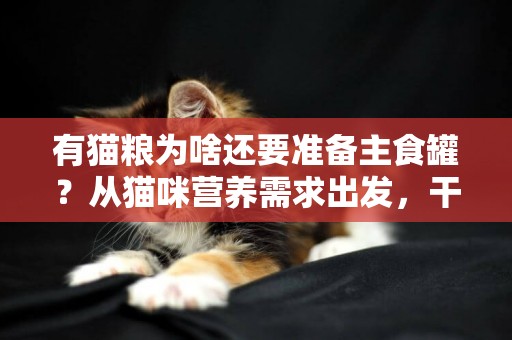 有貓糧為啥還要準備主食罐？從貓咪營養需求出發，干糧是最后選擇 