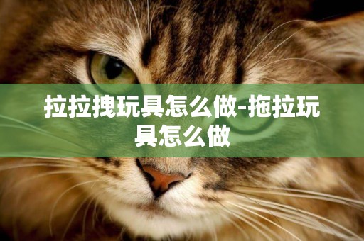 拉拉拽玩具怎么做-拖拉玩具怎么做