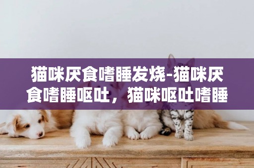 貓咪厭食嗜睡發燒-貓咪厭食嗜睡嘔吐，貓咪嘔吐嗜睡厭食