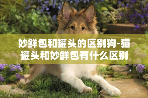 妙鮮包和罐頭的區別狗-貓罐頭和妙鮮包有什么區別