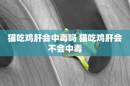 貓吃雞肝會中毒嗎 貓吃雞肝會不會中毒