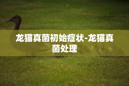 龍貓真菌初始癥狀-龍貓真菌處理