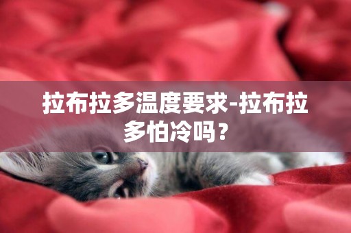 拉布拉多溫度要求-拉布拉多怕冷嗎？