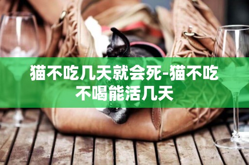 貓不吃幾天就會死-貓不吃不喝能活幾天