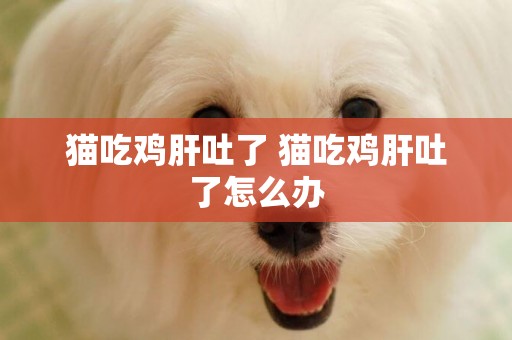 貓吃雞肝吐了 貓吃雞肝吐了怎么辦