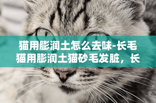 貓用膨潤土怎么去味-長毛貓用膨潤土貓砂毛發臟，長毛貓用貓砂怎么辦