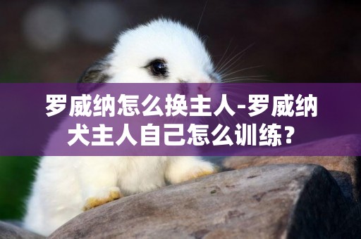 羅威納怎么換主人-羅威納犬主人自己怎么訓練？