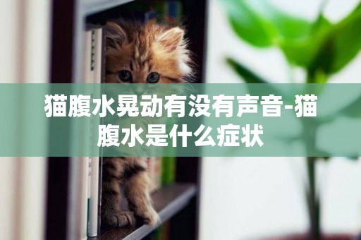貓腹水晃動有沒有聲音-貓腹水是什么癥狀