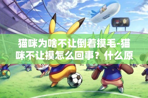 貓咪為啥不讓倒著摸毛-貓咪不讓摸怎么回事？什么原因？