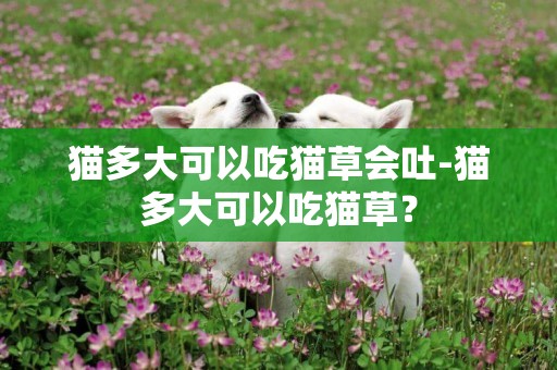貓多大可以吃貓草會吐-貓多大可以吃貓草？