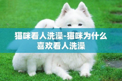 貓咪看人洗澡-貓咪為什么喜歡看人洗澡
