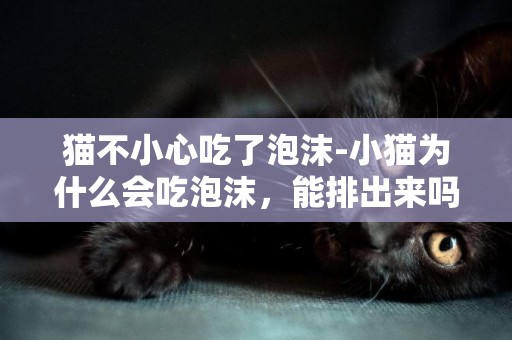 貓不小心吃了泡沫-小貓為什么會吃泡沫，能排出來嗎