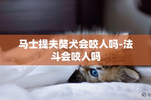 馬士提夫獒犬會咬人嗎-法斗會咬人嗎