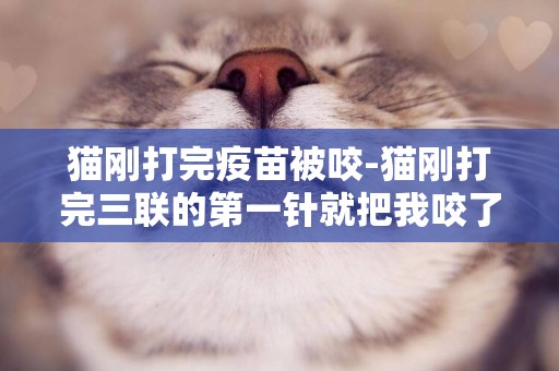 貓剛打完疫苗被咬-貓剛打完三聯的第一針就把我咬了