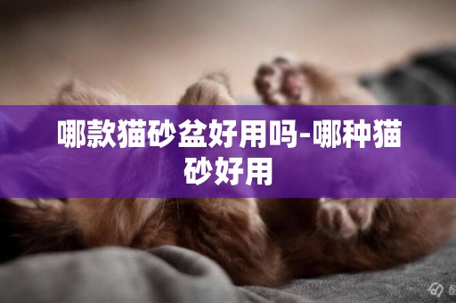 哪款貓砂盆好用嗎-哪種貓砂好用