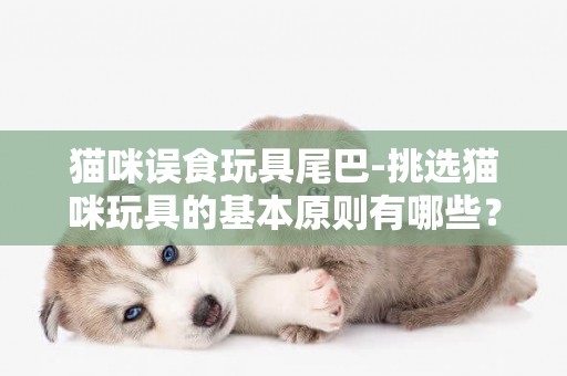 貓咪誤食玩具尾巴-挑選貓咪玩具的基本原則有哪些？