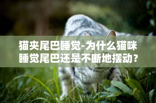 貓夾尾巴睡覺-為什么貓咪睡覺尾巴還是不斷地擺動？
