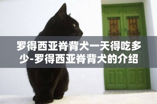 羅得西亞脊背犬一天得吃多少-羅得西亞脊背犬的介紹