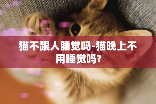 貓不跟人睡覺嗎-貓晚上不用睡覺嗎?