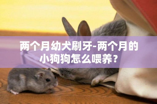 兩個月幼犬刷牙-兩個月的小狗狗怎么喂養？