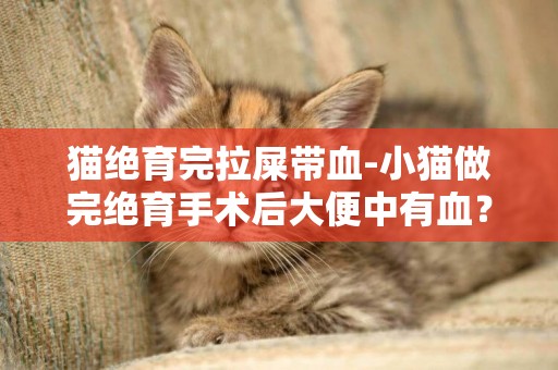 貓絕育完拉屎帶血-小貓做完絕育手術后大便中有血？