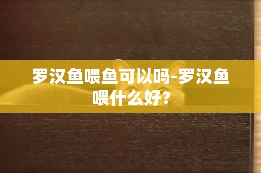 羅漢魚喂魚可以嗎-羅漢魚喂什么好？